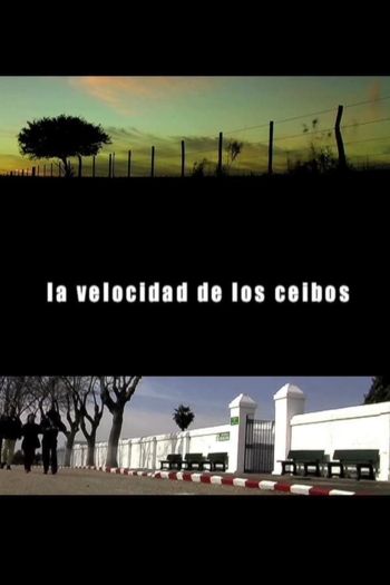 The Speed of the Ceibos