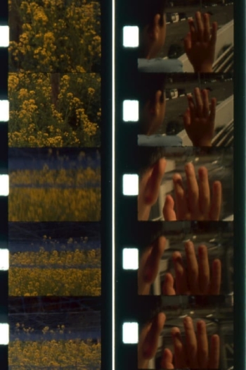 In Between Solstices (II/II)