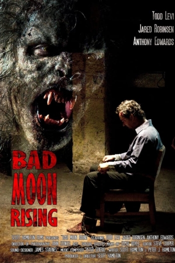 Bad Moon Rising