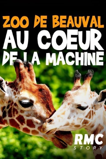 Zoo de Beauval : au coeur de la machine