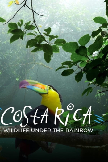 Costa Rica: Wildlife Under The Rainbow