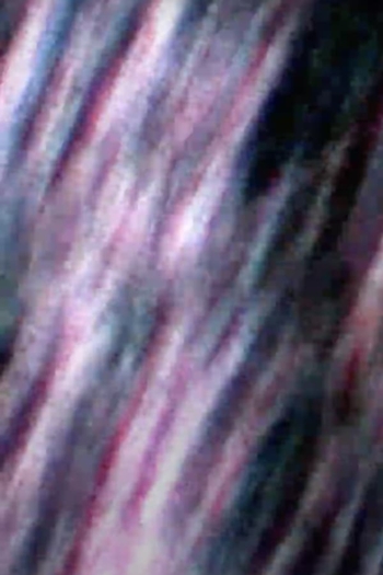 all life, everywhere