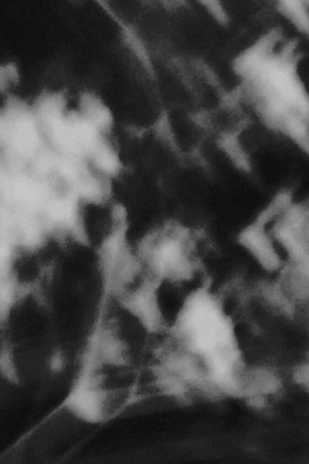 Portions of Light,  A Section