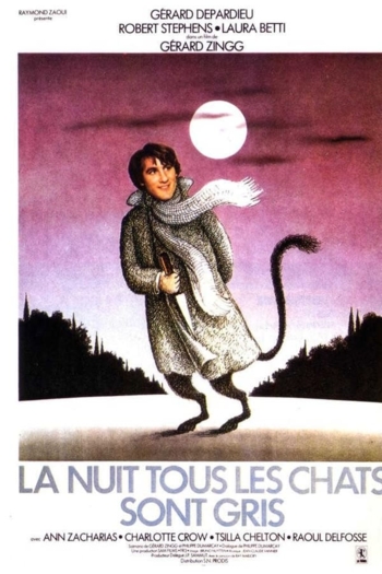 At Night All Cats Are Crazy