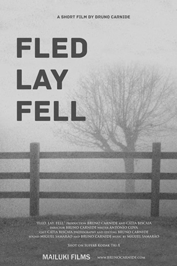 Fugiu. Deitou-se. Caí.