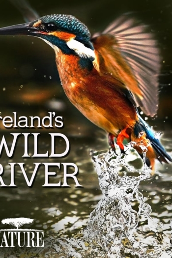 Ireland's Wild River