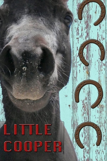 Little Cooper
