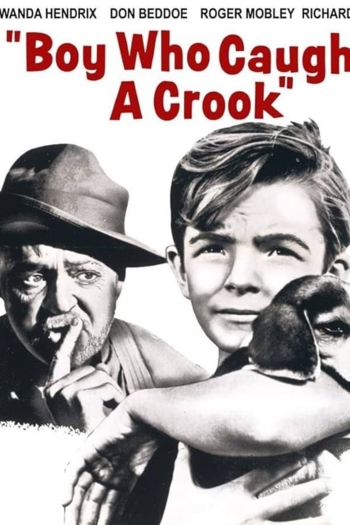 Boy Who Caught a Crook