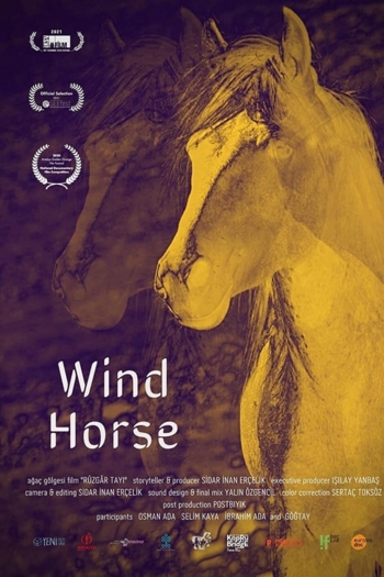 Wind Horse