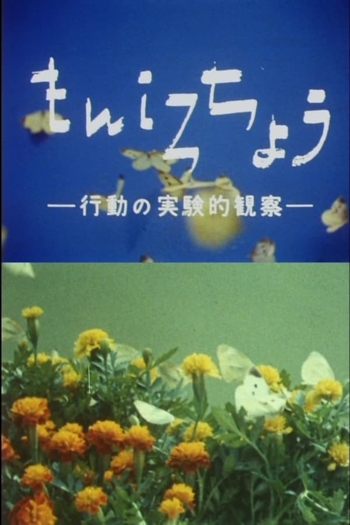 The Cabbage Butterfly