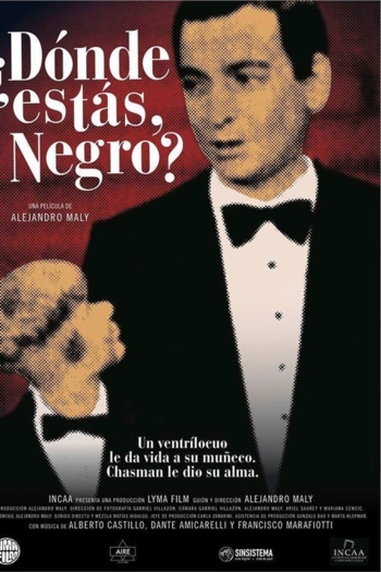 ¿Dónde estás, Negro?