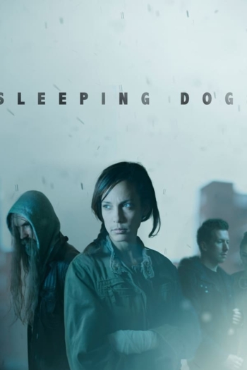 Sleeping Dogs