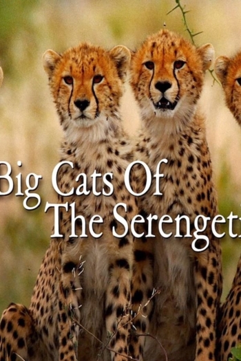 Big Cats of the Serengeti