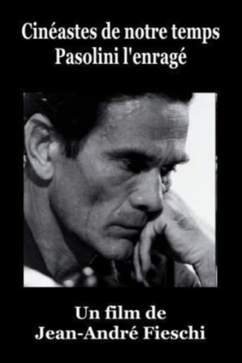 Pasolini l'Enragé