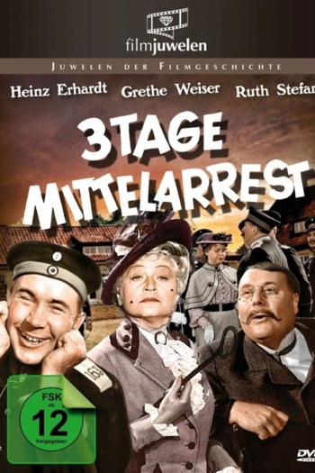 Drei Tage Mittelarrest