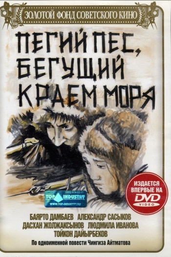 Spotted Dog Running at the Edge of the Sea