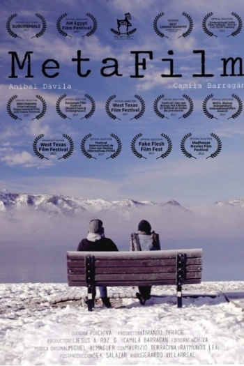 MetaFilm