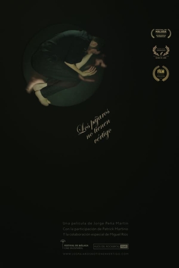 Los pájaros no tienen vértigo