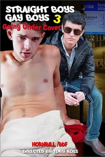 Straight Boys, Gay Boys 3: Going Under Cover