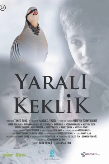 Yaralı Keklik