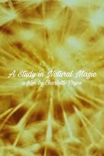 A Study in Natural Magic