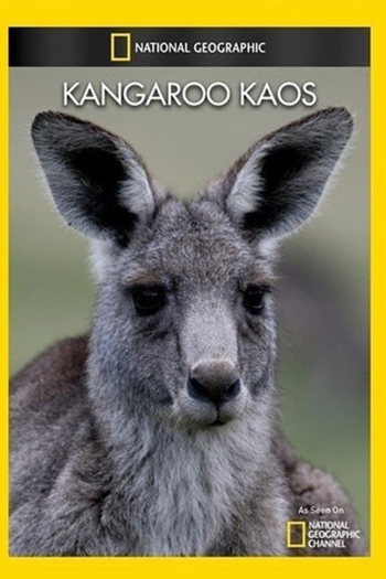 National Geographic: Kangaroo Kaos