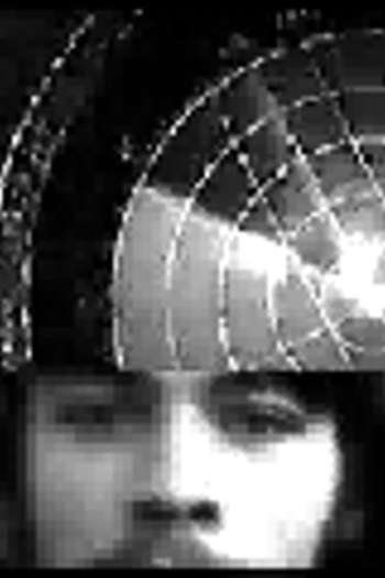 Little Movies. No. 6: On the Transient Nature of an Electronic Image