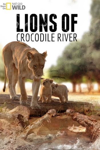 Lions of Crocodile River