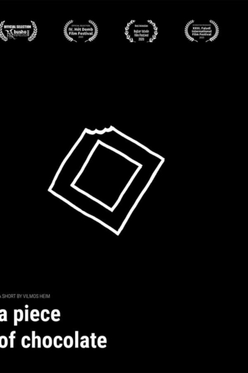 A Piece of Chocolate