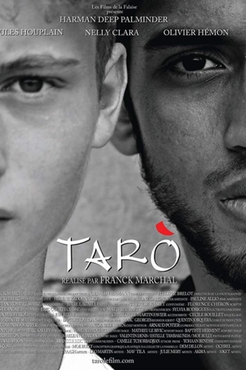 Taro