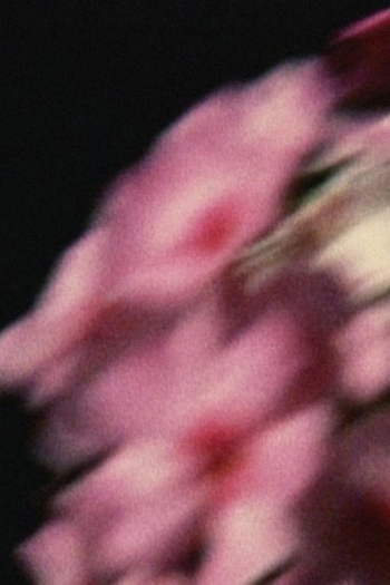 Five Year Diary, Reel 80: Emily Died (May 14–September 26, 1994)