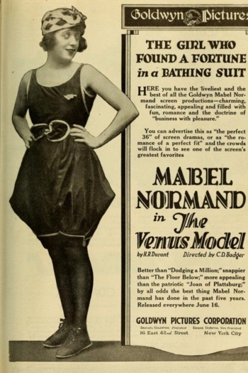 The Venus Model