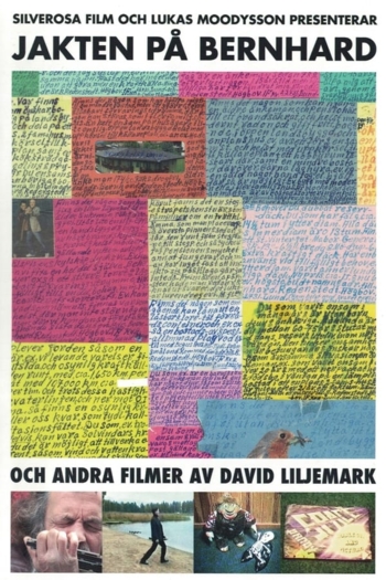 The Search for Bernhard