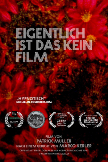 Actually, This Is Not a Film