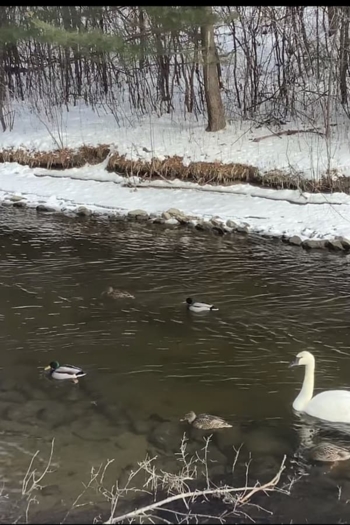 a moment of recovery