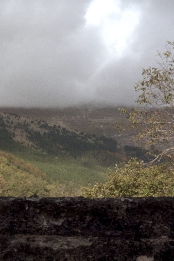 Quarta passeggiata - Un giro di giostra