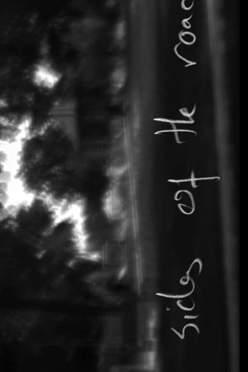 All Sides of the Road