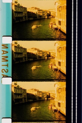 Dreaming in Yellow While Searching for Carpaccio's Gold