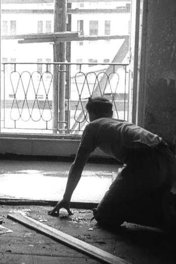 Der Elefant von Hoyerswerda