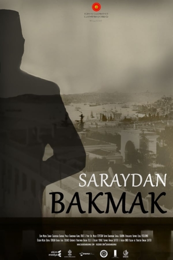 Through Ottoman Eyes