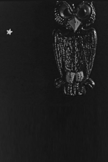 The Spider and the Fly