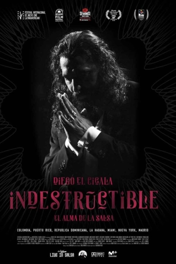 Indestructible: El alma de la salsa