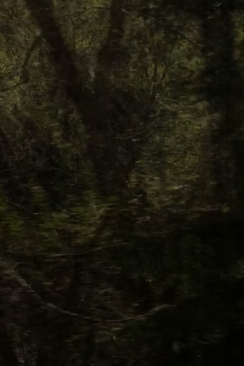 [In Between] Relentless Fire