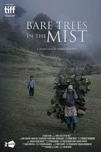 Bare Trees in the Mist