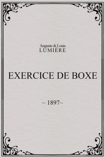 Exercice de boxe