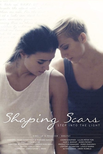 Shaping Scars