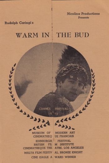 Warm in the Bud