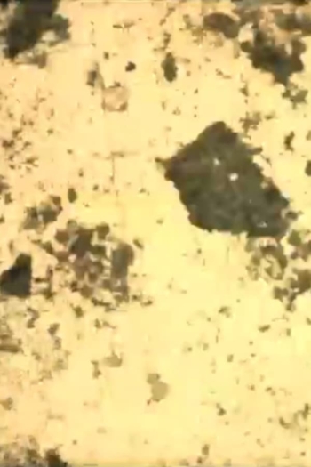 The Whispers of Indi-Go