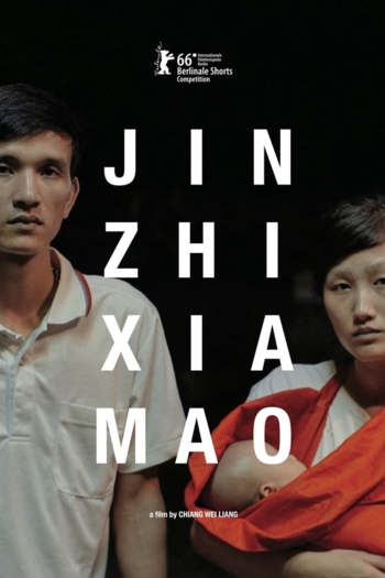 Anchorage Prohibited