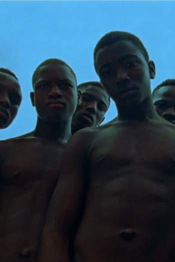 In Praise of Still Boys